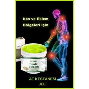 At Kestanesi Balsamı Jeli Kas Ve Eklem Ağrı Masaj Kremi 2 adet 500 ml*2=1000ml